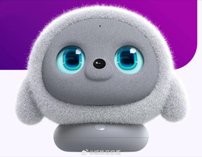 娱乐圈资深粉